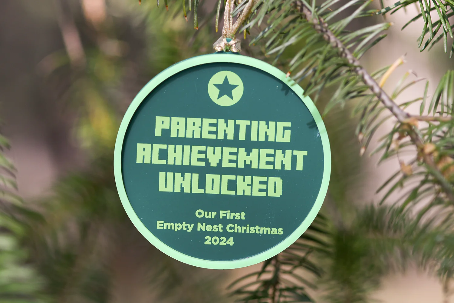 Parenting Achievement Empty Nest Ornament - Image 4